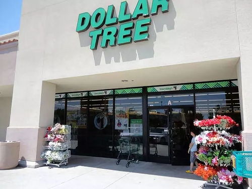 dollar tree nlr ar,Dollar Tree NLR AR: A Comprehensive Overview