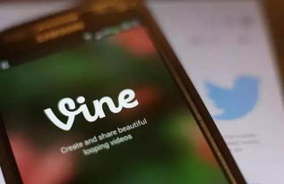 ar vine,Understanding AR Vine: A Comprehensive Guide