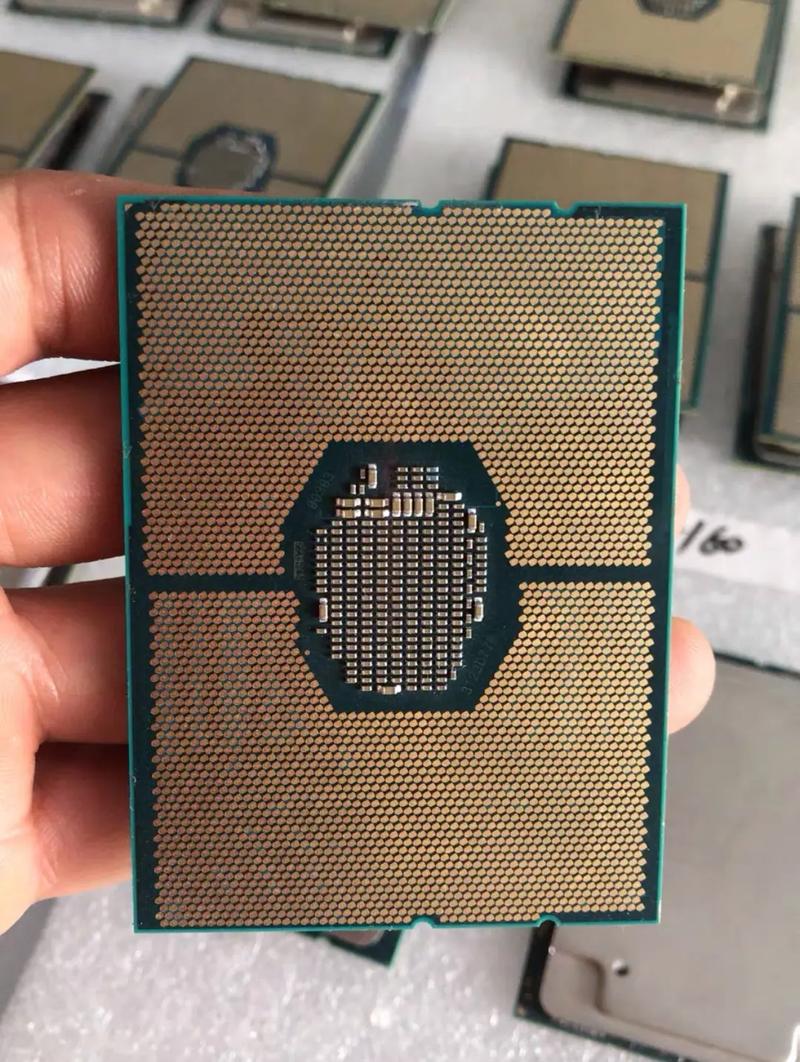 8200 USD CPU: A Comprehensive Overview