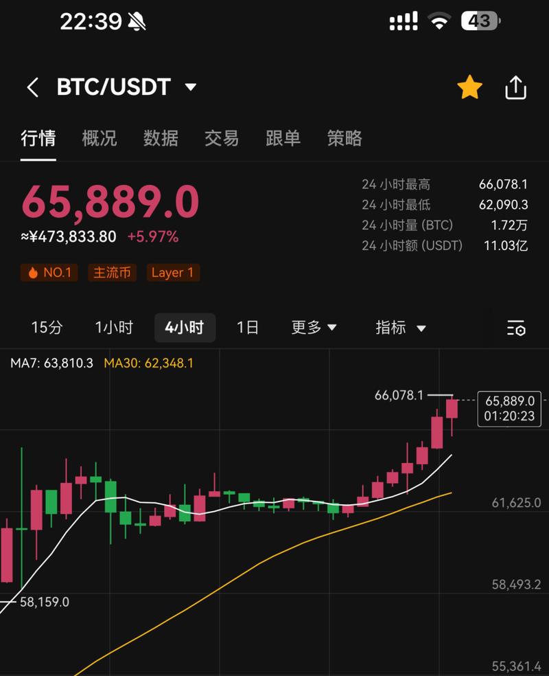 Understanding the BTC/USDT Trading Pair