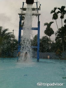 manila_ ar water park,Manila AR Water Park: A Dazzling Escape in the Philippines