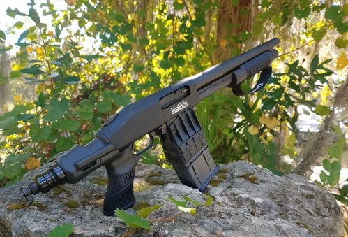 mossberg 22 ar pistol,Mossberg 22 AR Pistol: A Comprehensive Guide