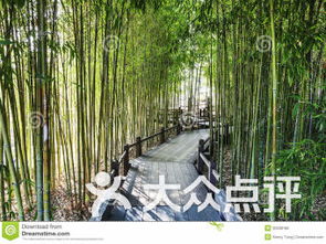 bamboo garden mountain home ar,Architectural Design