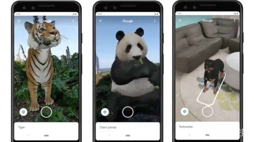 google ar animals,Google AR Animals: A Detailed Multidimensional Introduction