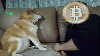 100 dogecoin to usdt,Understanding the Value of Dogecoin