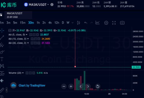 mask usdt,Understanding Mask USD: A Comprehensive Guide