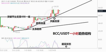 bcc usdt,Understanding BCC USDT: A Comprehensive Guide