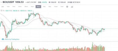 bch usdt prediction