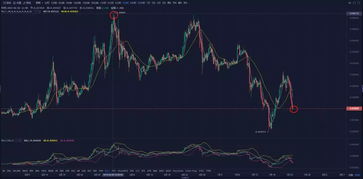 trx price usdt,Understanding TRX Price in USD/Tether: A Comprehensive Guide