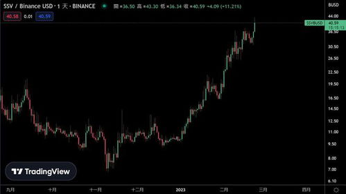 ssv usdt,Understanding SSV USDT: A Comprehensive Guide