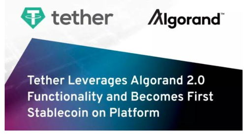 algorand usdt,Understanding Algorand USDT: A Comprehensive Guide