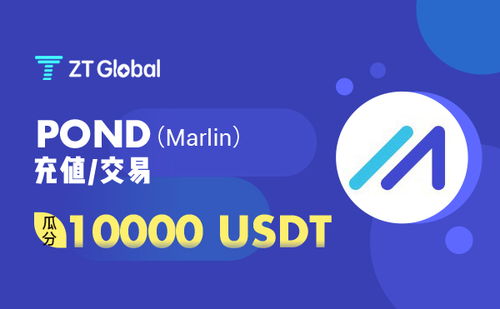 pond usdt investing,Understanding Pond USDT Investing